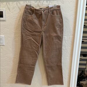 LOFT Brown High Rise Corduroy Pants